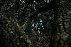 BIB: 
                            <button type="button" onclick="openModal(25689322)" class="btn btn-primary btn-sm float-right btn-popup" data-toggle="modal" data-target=".modal-high-quality">
                        <i class="fas fa-shopping-cart"></i> Add to Cart
                    </button>
                                            <button type="button" onclick="isThisMe(25689322, true)" class="btn btn-success btn-sm float-right btn-popup btn-isme hidden" data-toggle="tooltip" data-placement="bottom" title="นี่คือรูปของคุณใช่ไหม คลิกที่นี่เพื่อเอาเข้าอัลบั้ม">
                        <i class="fas fa-plus"></i> Add to album
                    </button>
                    <button type="button" onclick="isThisMe(25689322, false)" class="btn btn-warning btn-sm float-right btn-popup btn-isnotme hidden">
                        <i class="fas fa-ban"></i> Remove from album
                    </button>